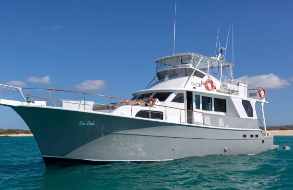 Seafinch Yacht
