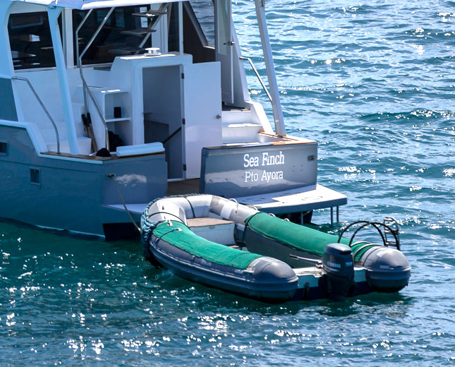 The yacht's dingy